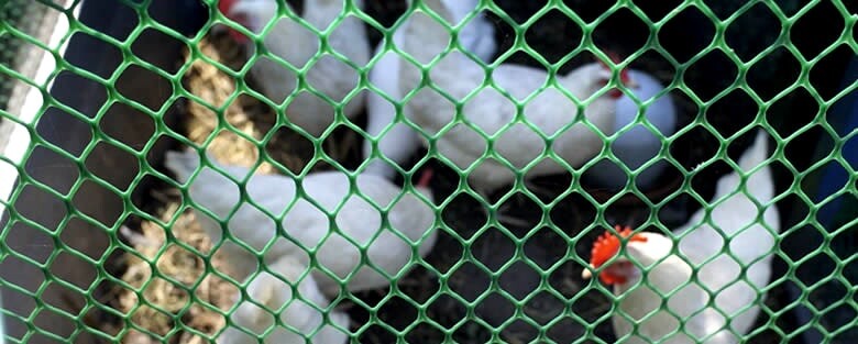 Luoi Nhua Ep Hinh Luc Giac