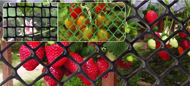 Luoi Nhua Ep Hinh Luc Giac