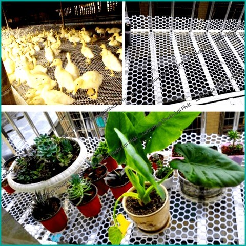 Luoi Nhua Ep Hinh Luc Giac