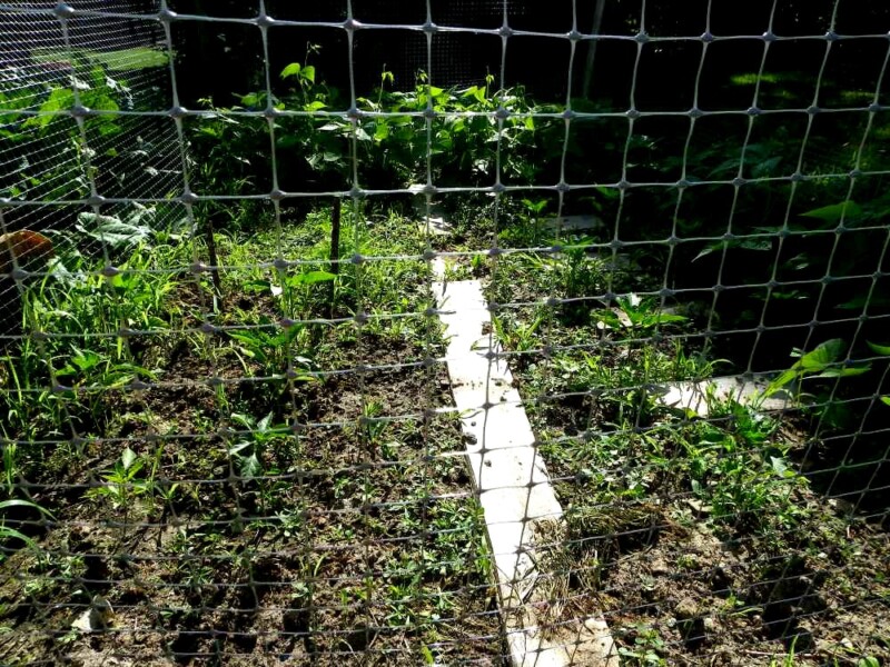 Luoi Nhua Ep Hinh Vuong