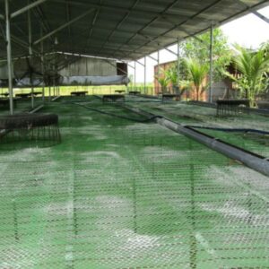 Luoi Rao Chan Vuon Chan Nuoi